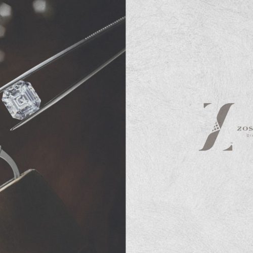 Zoskales-ring-inset